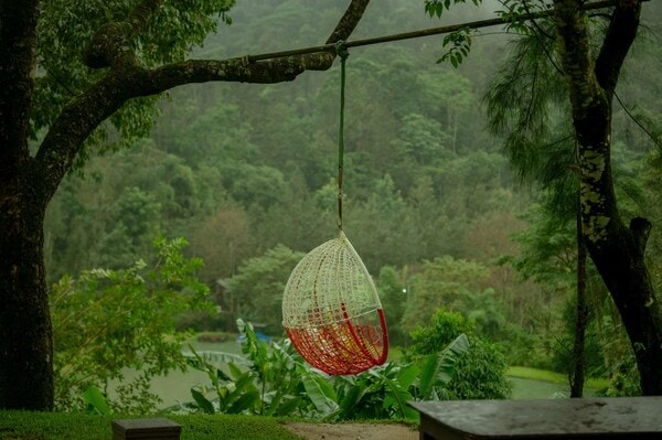 Bird Watching