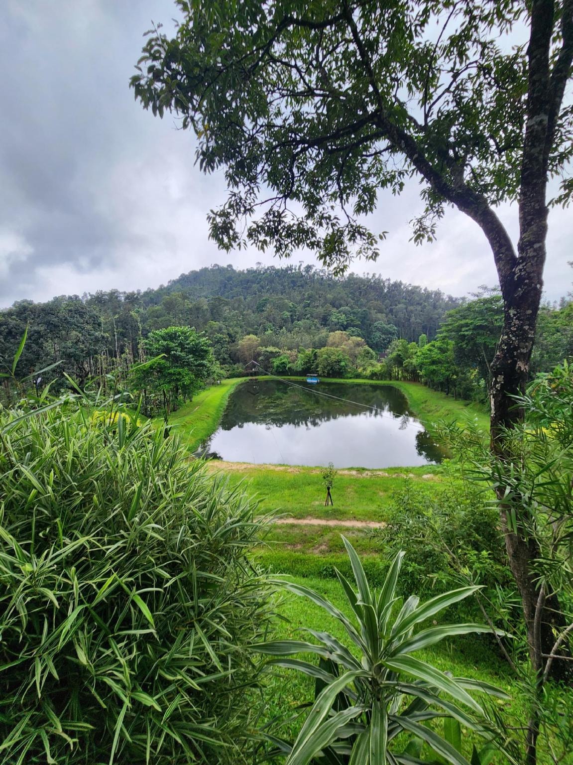 Serene lake view