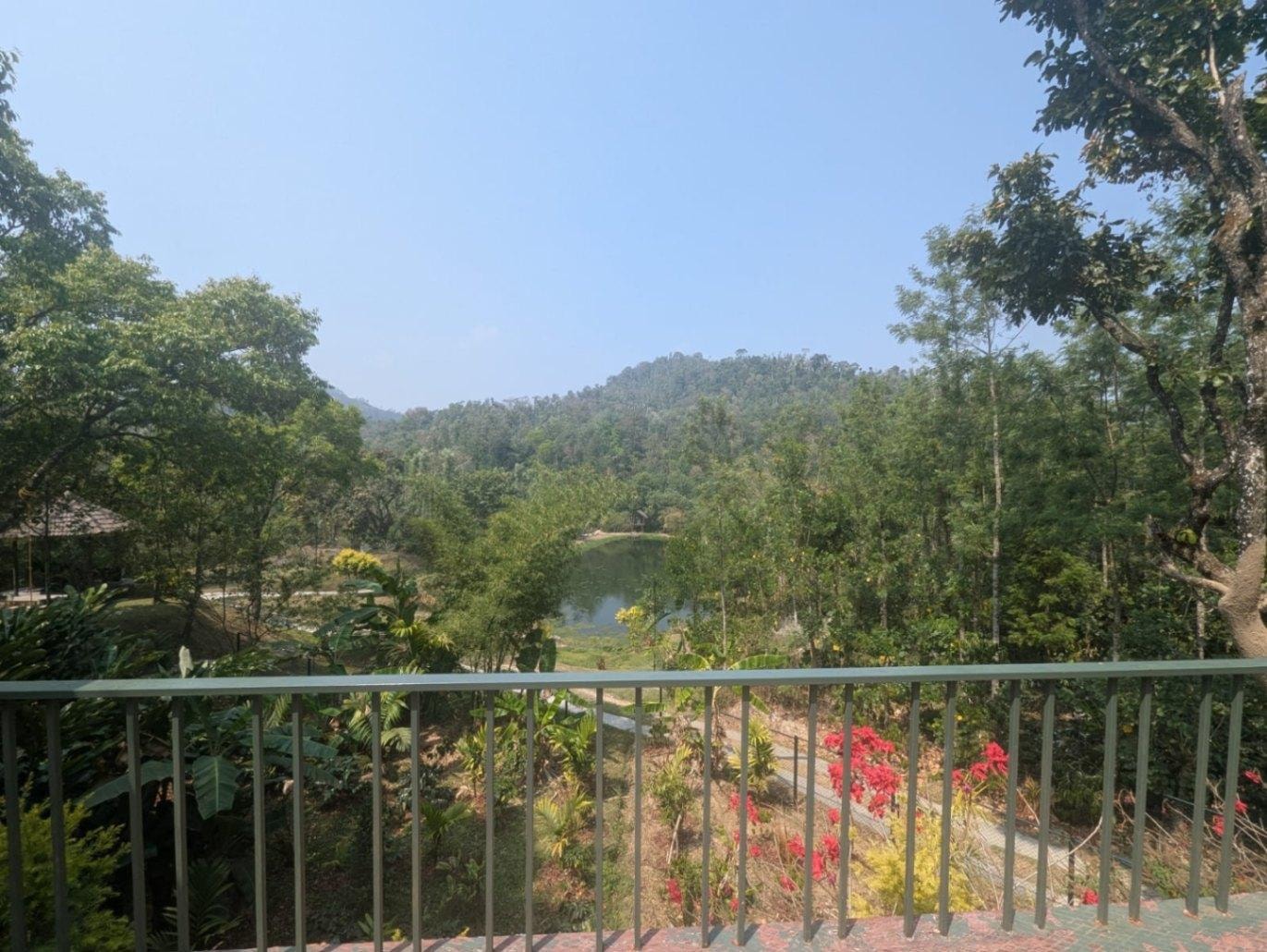 Resort pool with mountain view