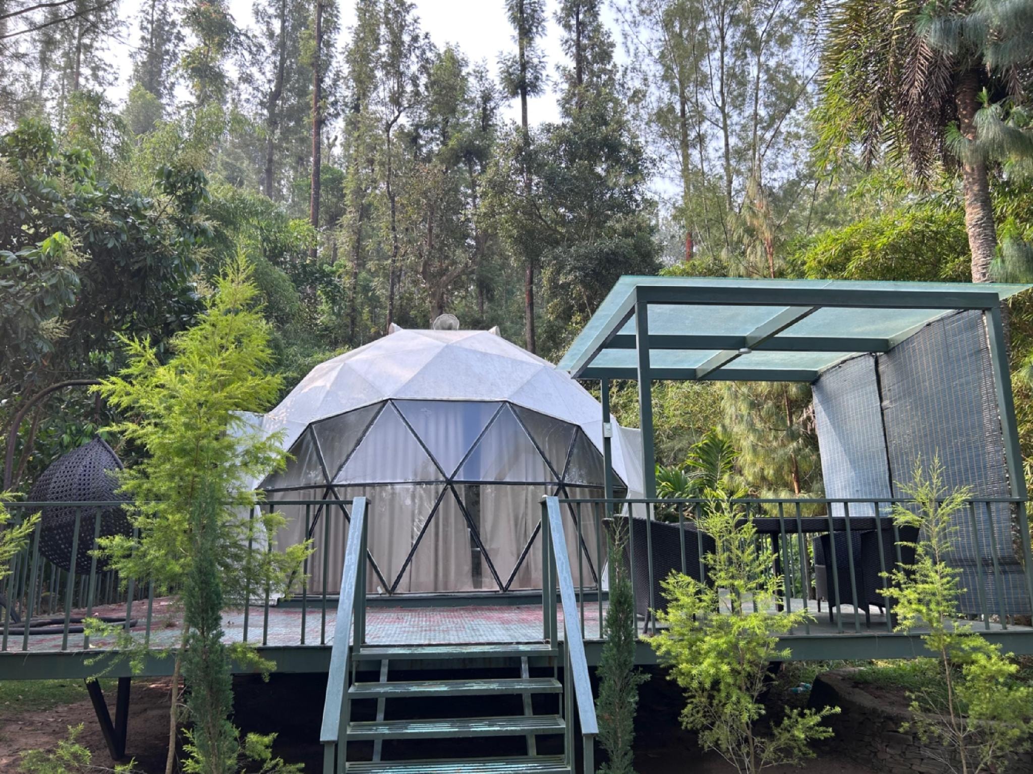 Coffee plantation at Chandramukuta Resort